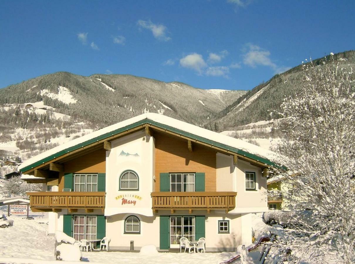 Apartment Mary Inklusive Tauern-spa Kaprun